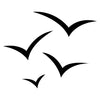 Birds